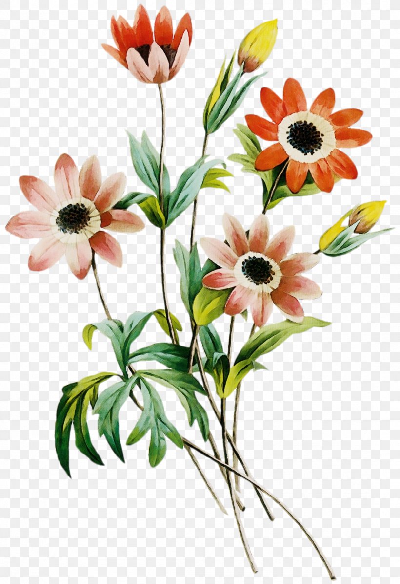 Clip Art Image Illustration, PNG, 1097x1600px, Art, African Daisy, Anemone, Architecture, Artificial Flower Download Free