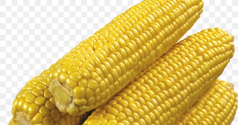 Corn On The Cob Candy Corn Flint Corn Sweet Corn Corncob, PNG, 1200x630px, Corn On The Cob, Candy Corn, Commodity, Corn Kernel, Corn Kernels Download Free
