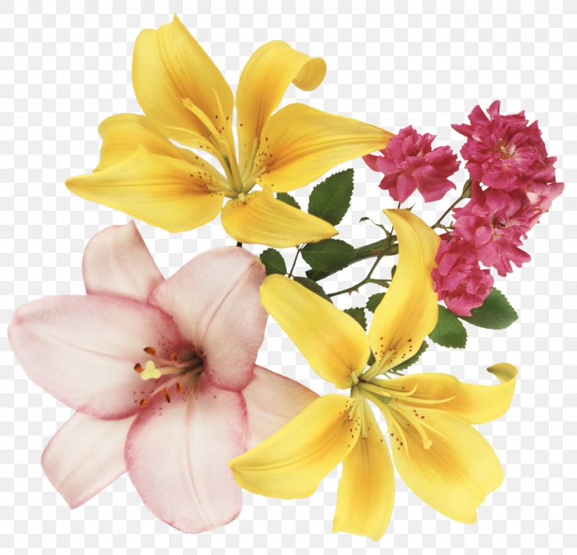 Festival Of The Flowers, PNG, 1600x1543px, Festival Of The Flowers, Alstroemeriaceae, Blog, Cut Flowers, Floral Design Download Free