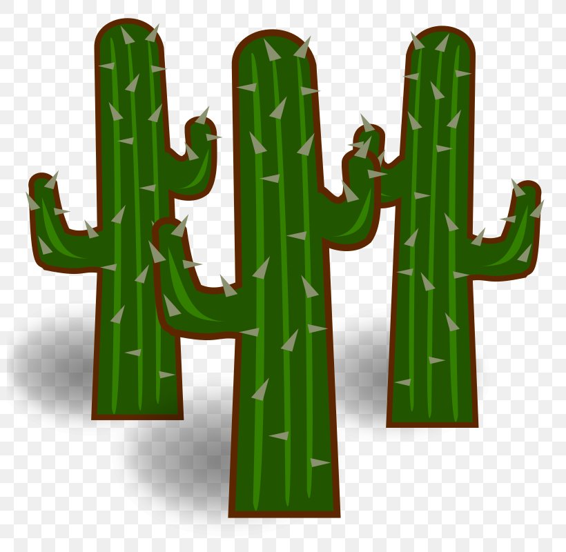 Cactaceae Free Content Clip Art, PNG, 800x800px, Cactaceae, Cactus, Caryophyllales, Desert, Drawing Download Free