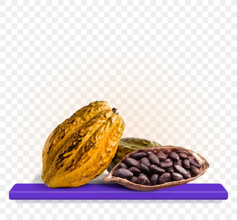 Cocoa Bean Vegetarian Cuisine Chocolate Theobroma Cacao, PNG, 760x760px, Cocoa Bean, Bean, Cadbury, Chocolate, Cocoapods Download Free