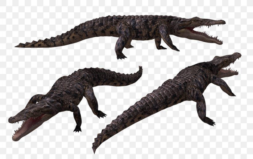 Crocodiles Alligator, PNG, 1024x645px, 3d Computer Graphics, Crocodiles, Alligator, Animal Figure, Crocodile Download Free