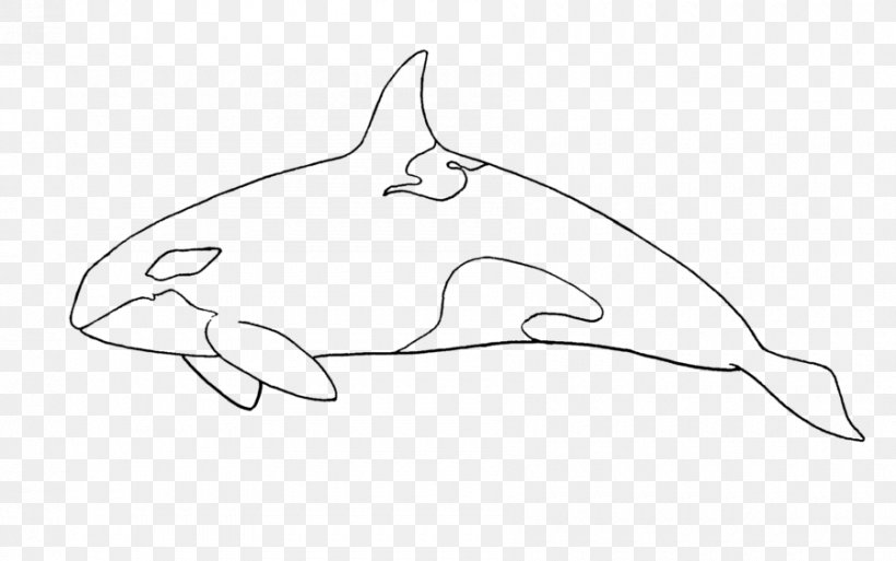 Dolphin Sketch Product Design Porpoise, PNG, 900x564px, Watercolor, Cartoon,  Flower, Frame, Heart Download Free