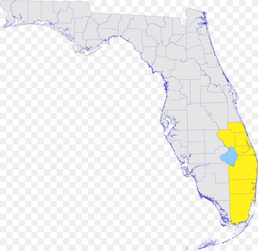 Ecoregion Water Resources Florida Map, PNG, 900x879px, Ecoregion, Area, Florida, Map, Tuberculosis Download Free