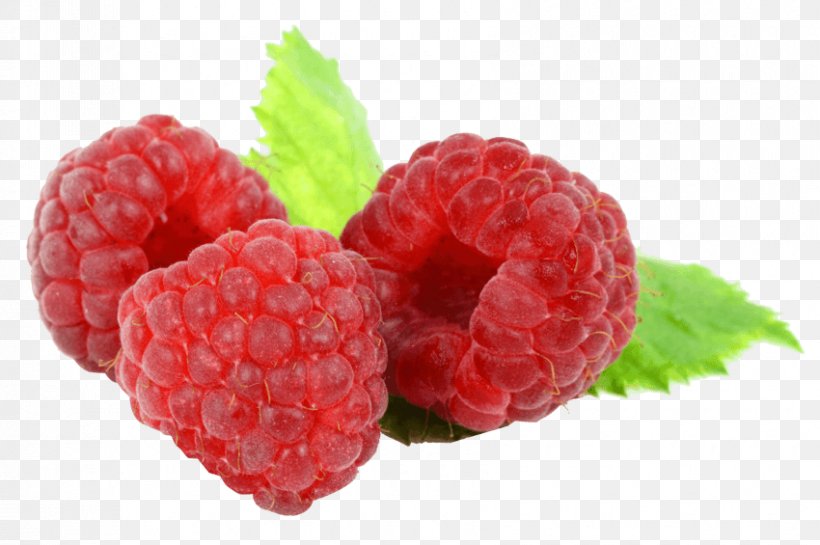 Raspberry Clip Art Food, PNG, 850x565px, Raspberry, Accessory Fruit ...