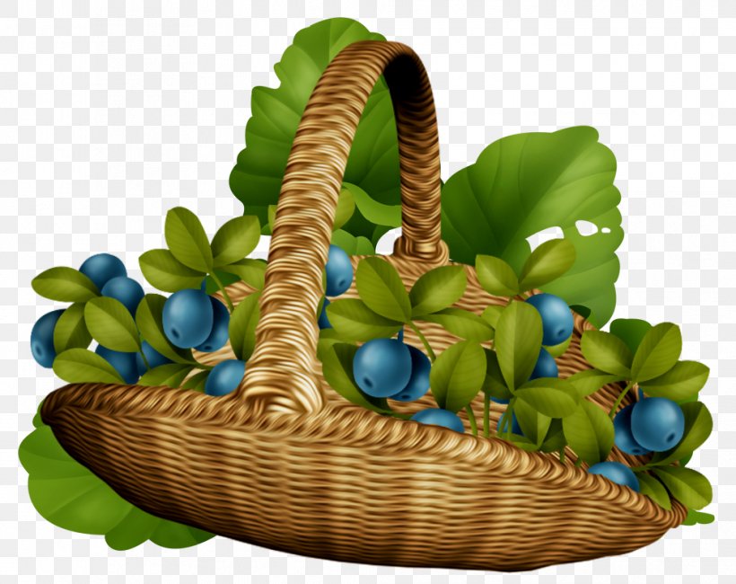 Basket Plant, PNG, 992x787px, Basket, Flowerpot, Plant Download Free