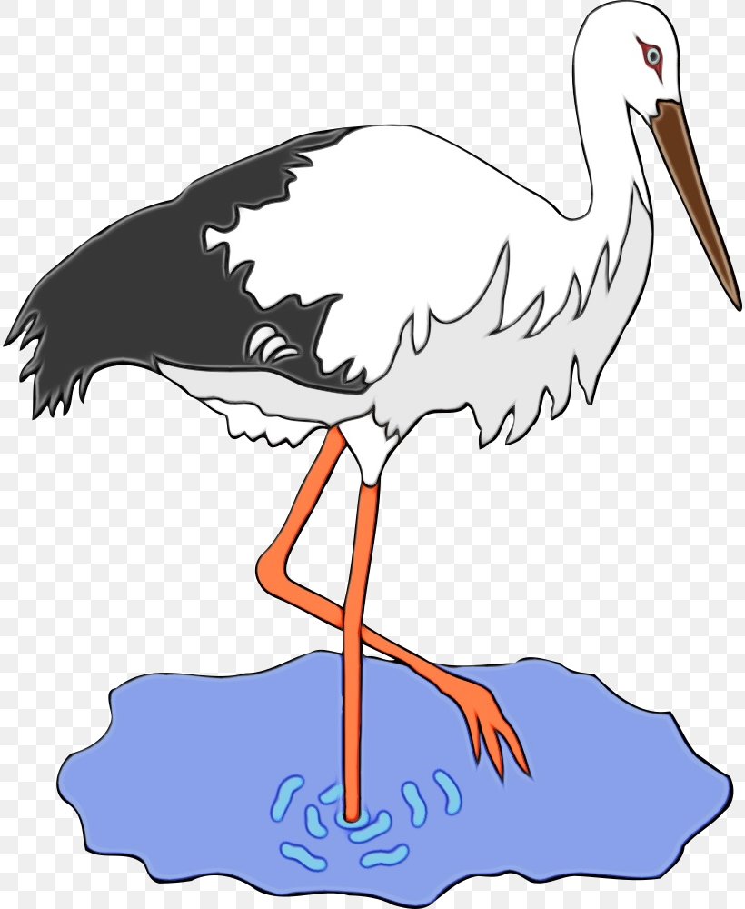 Bird Stork Beak White Stork Crane-like Bird, PNG, 814x1000px, Watercolor, Beak, Bird, Ciconiiformes, Crane Download Free