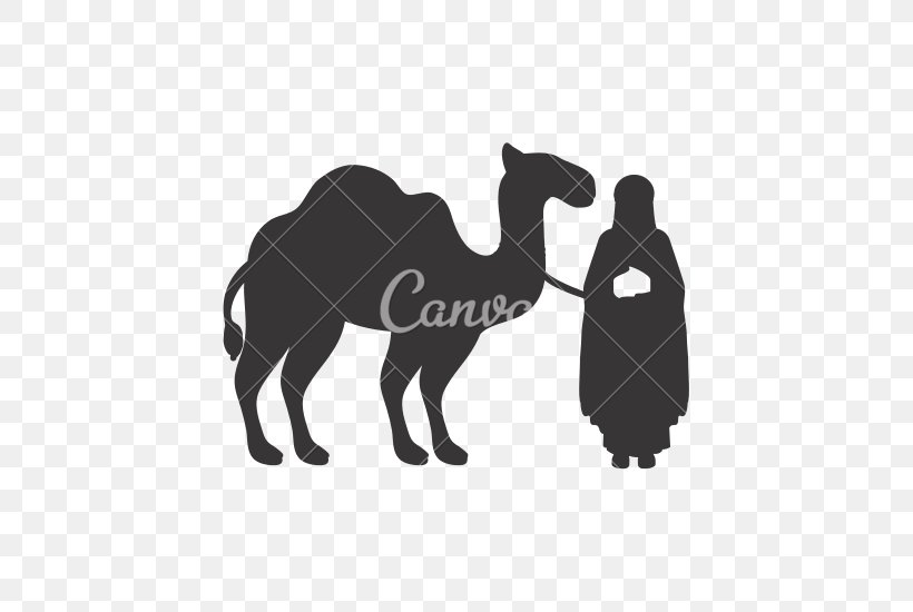 Dromedary Drawing Silhouette, PNG, 550x550px, Dromedary, Black And White, Camel, Camel Like Mammal, Drawing Download Free
