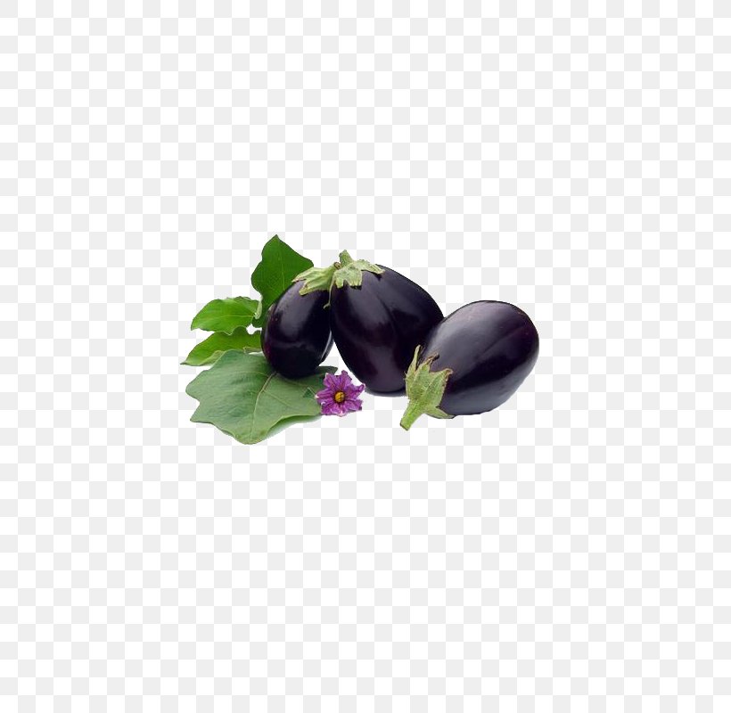 Eggplant Food Eating Vegetable Nutrition, PNG, 500x800px, Eggplant, Alimento Saludable, Calorie, Diet, Eating Download Free