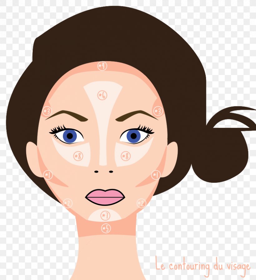 Face Make-up Contouring Human Head Cosmetics, PNG, 830x907px, Watercolor, Cartoon, Flower, Frame, Heart Download Free