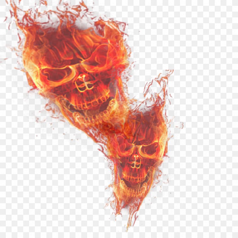 Light Fire Skull Flame, PNG, 894x894px, Watercolor, Cartoon, Flower, Frame, Heart Download Free