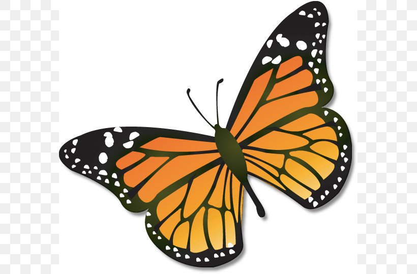 Monarch Butterfly Clip Art, PNG, 587x539px, Butterfly, Animal, Animal Migration, Arthropod, Brush Footed Butterfly Download Free