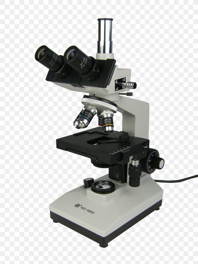 Inspiration Duchess Precede Optical Microscope Microscope Omano OM88-T Trinocular Compound Microscope  Light Microscope Slides, PNG, 2448x3264px, Microscope, Condenser,