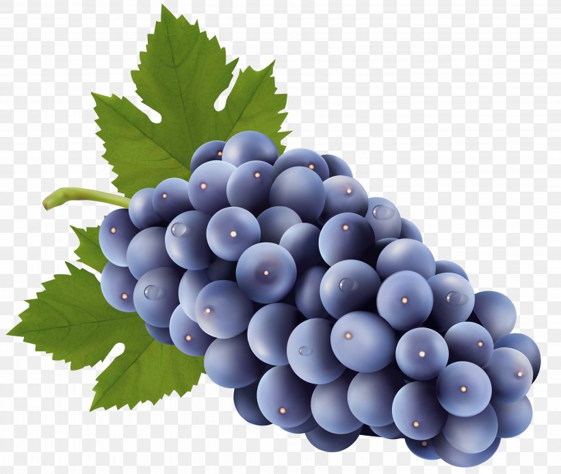 Sultana Grape Clip Art, PNG, 6000x5064px, Muscadine Grape, Berry, Bilberry, Blueberry, Canning Download Free