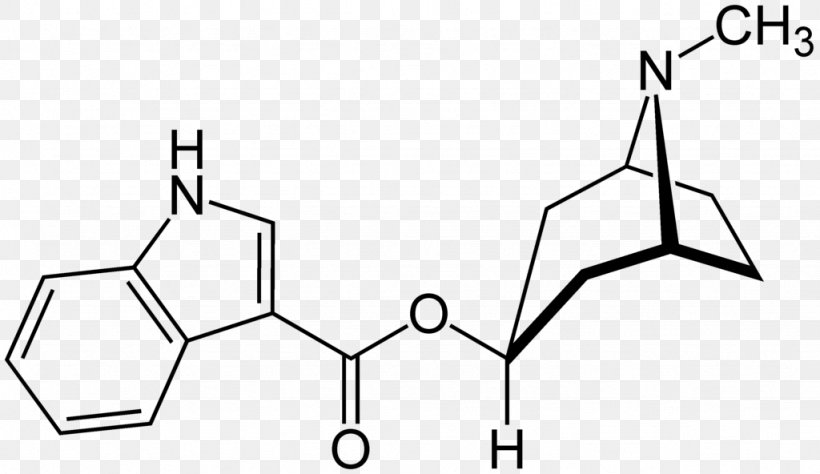 Tropisetron Nootropic Pharmaceutical Drug Methylhexanamine, PNG, 1024x592px, 5ht3 Antagonist, Nootropic, Area, Black And White, Canagliflozin Download Free