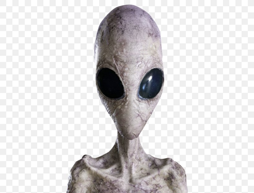 Grey Alien Extraterrestrial Life, PNG, 500x623px, Alien, Display Resolution, Extraterrestrial Life, Extraterrestrials In Fiction, Grey Alien Download Free