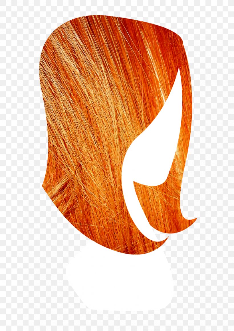 Hair Coloring, PNG, 842x1191px, Hair, Hair Coloring, Orange Download Free