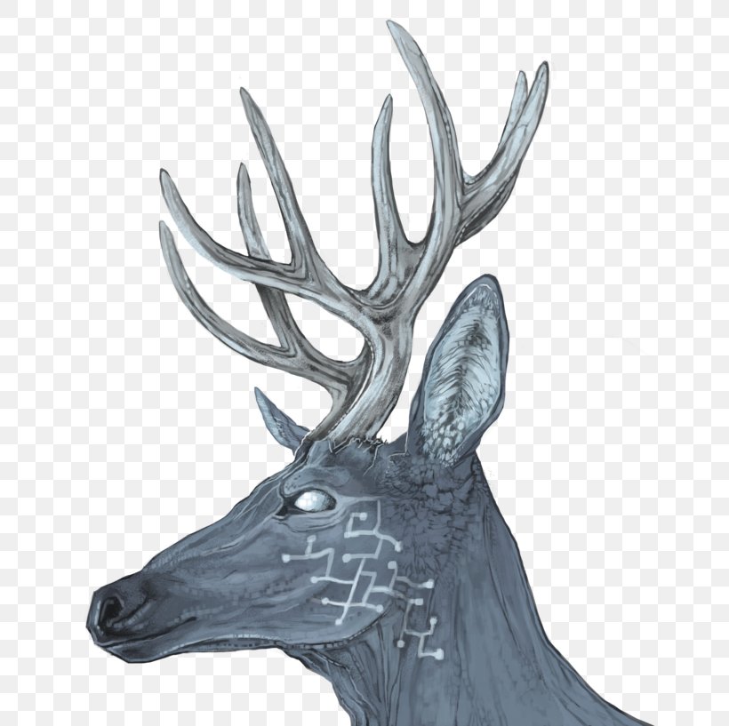 Reindeer Elk Antler Wildlife, PNG, 800x817px, Reindeer, Antler, Deer, Elk, Horn Download Free