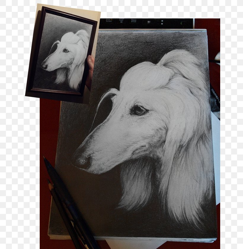Saluki Afghan Hound Borzoi Dog Breed Painting, PNG, 667x838px, Saluki, Afghan Hound, Afghanistan, Borzoi, Breed Download Free