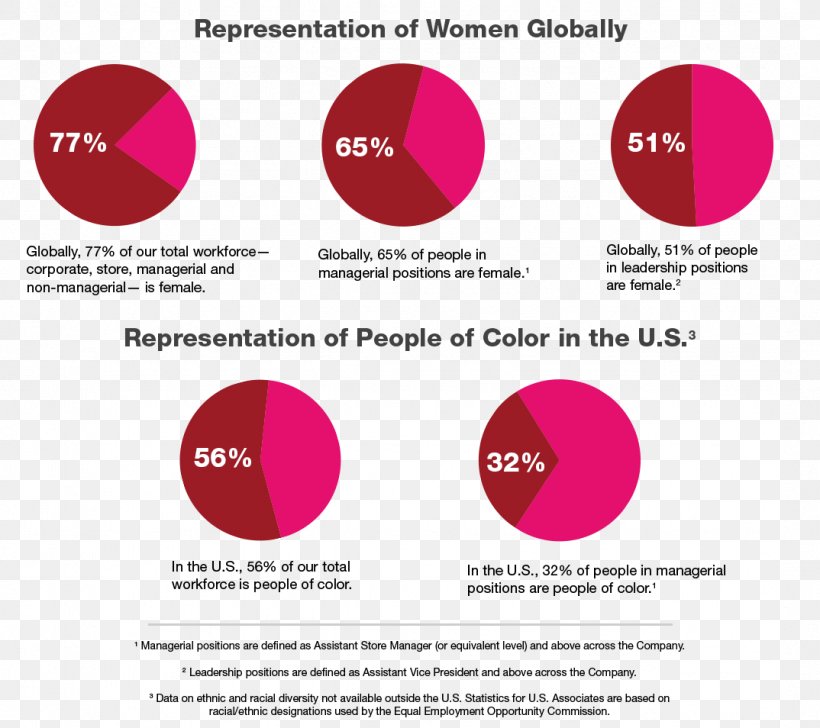 Diversity TJX Companies Workplace Statistics Recruitment, PNG, 1074x954px, Diversity, Area, Brand, Company, Diagram Download Free