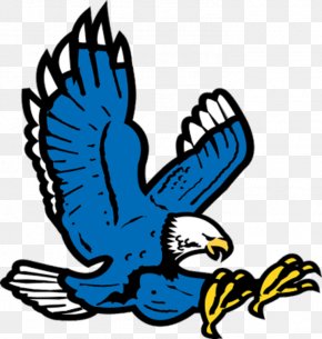 Parry Cartoon - Auburn Tigers Football Philadelphia Eagles Auburn High School NFL War Eagle PNG
