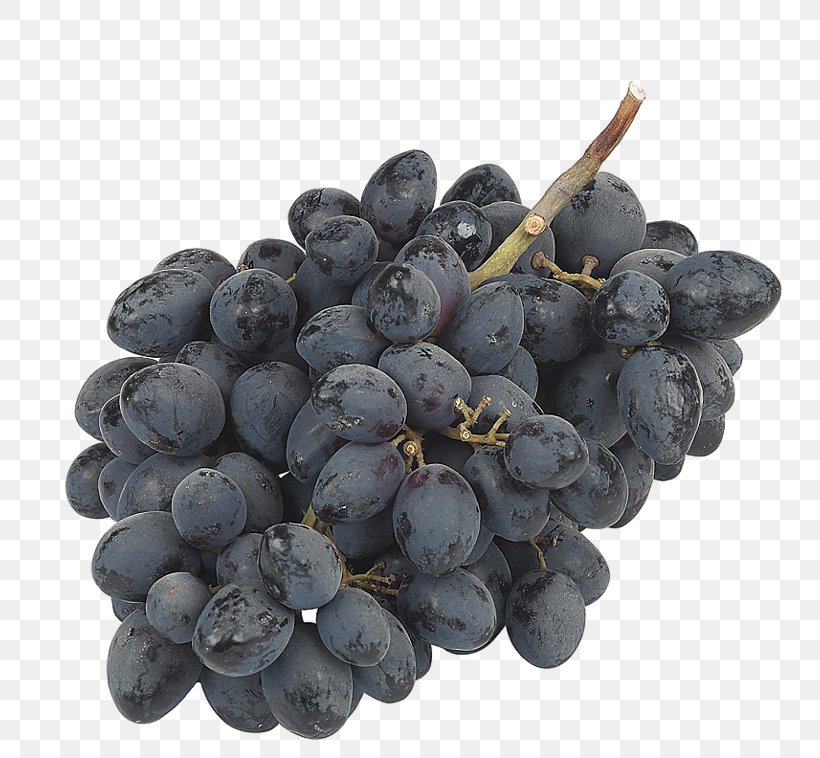 Auglis Presentation Carbohydrate Frutti Di Bosco Seed, PNG, 800x758px, Auglis, Bilberry, Biology, Blueberry, Carbohydrate Download Free