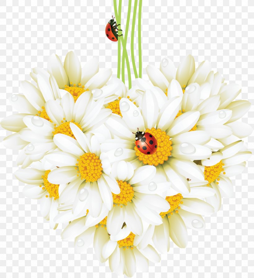 Beetle Ladybird Common Daisy Desktop Wallpaper, PNG, 884x969px, Beetle, Artificial Flower, Chamaemelum Nobile, Chamomile, Chrysanths Download Free