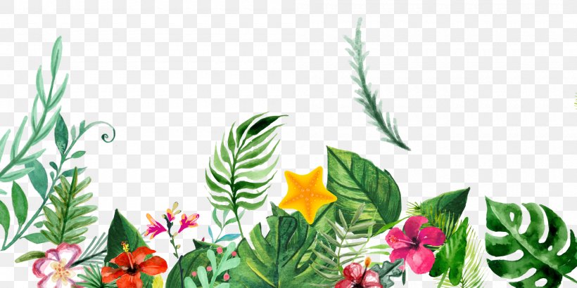 Plant Ink Flower, PNG, 2000x1000px, Plant, Color, Drawing, Flora, Floral Design Download Free