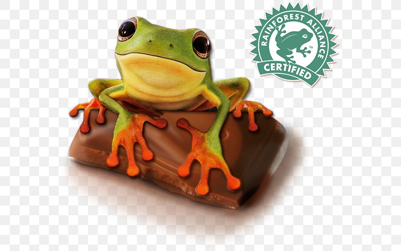 Rainforest Alliance Mars, Incorporated Galaxy Dove, PNG, 573x513px, Rainforest Alliance, Amphibian, Business, Certification, Chocolate Download Free