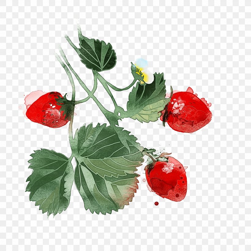 Strawberry, PNG, 2500x2500px, Watercolor, Alpine Strawberry, Berry, Flower, Fruit Download Free
