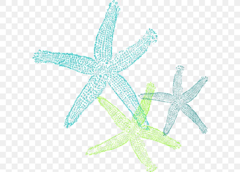 The Star Thrower Starfish Teal Turquoise Clip Art, PNG, 600x589px, Star Thrower, Aqua, Blue, Color, Coral Download Free