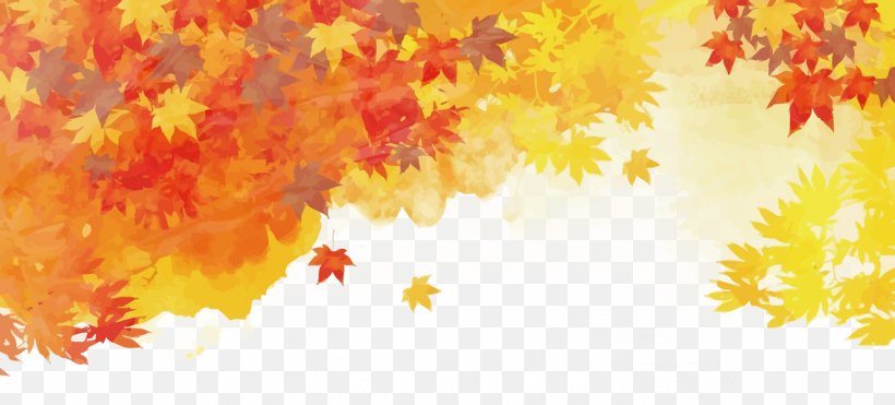 Vector Maple Leaf, PNG, 1500x680px, Autumn, Autumn Leaf Color, Branch, Leaf, Maple Download Free