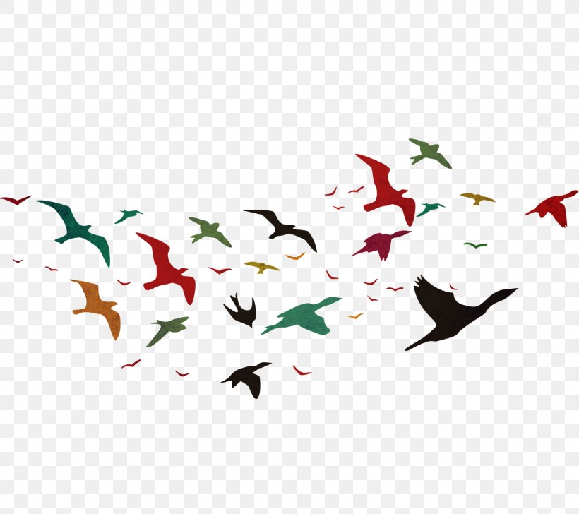 Bird Flight PhotoScape, PNG, 1600x1422px, Bird, Animal Migration, Beak, Bird Migration, Child Download Free