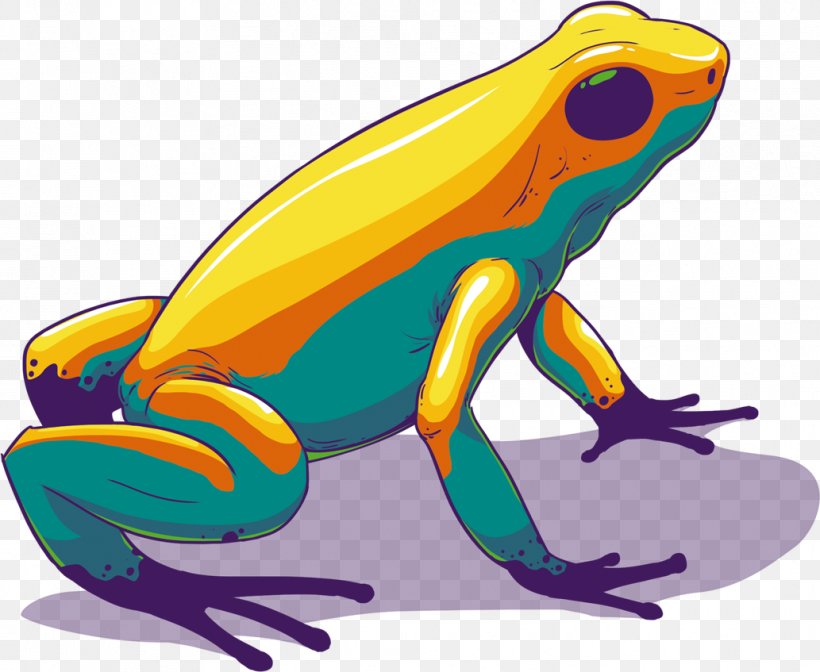 Toad True Frog Tree Frog, PNG, 1033x847px, Toad, Amphibian, Art, Frog, Organism Download Free