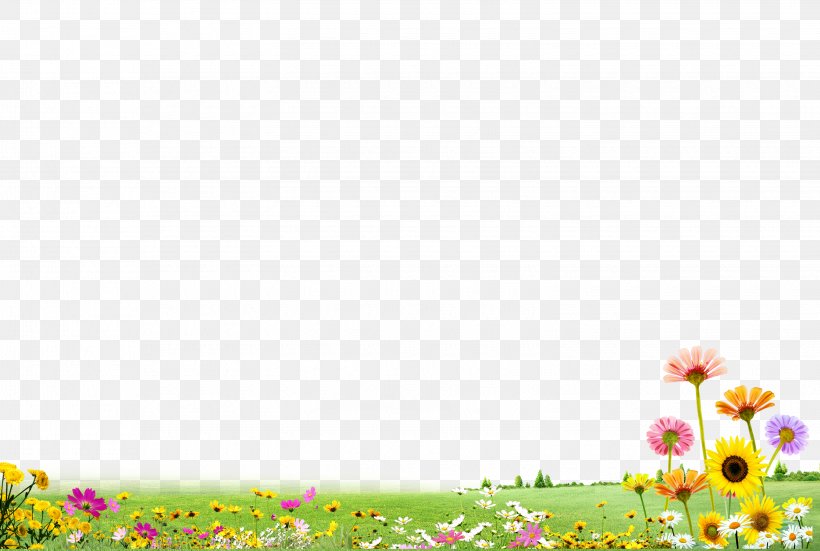 Download, PNG, 3050x2050px, Flower, Diagram, Drawing, Grass, Pattern Download Free