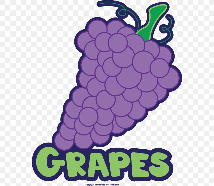 Grape Wine Kyoho Classic Clip Art, PNG, 576x711px, Grape, Animaatio, Artwork, Classic Clip Art, Common Grape Vine Download Free