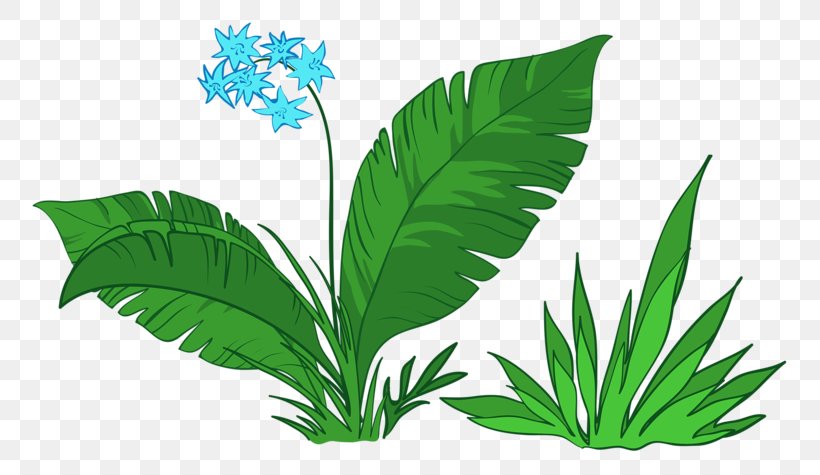 Green Leaf Flower, PNG, 800x475px, Green, Blue, Designer, Flower, Flowerpot Download Free
