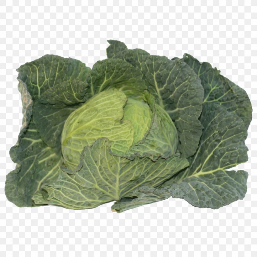 Savoy Cabbage Collard Greens Spring Greens Cruciferous Vegetables Komatsuna, PNG, 1024x1024px, Savoy Cabbage, Brassica Oleracea, Cabbage, Chard, Collard Greens Download Free