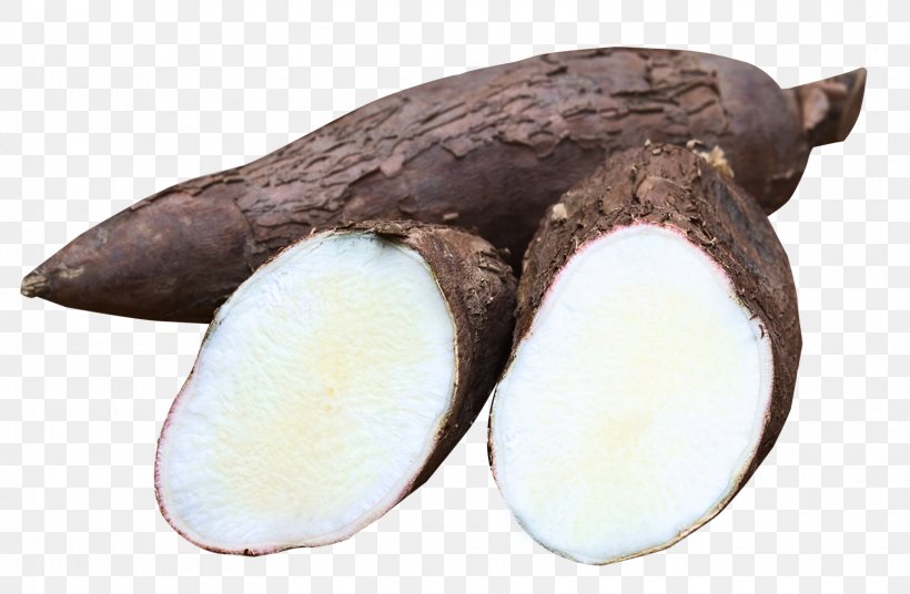 Amala Food Cassava Eba Yam, PNG, 1625x1063px, Amala, Bamboo Shoot, Carbohydrate, Cassava, Cuisine Download Free