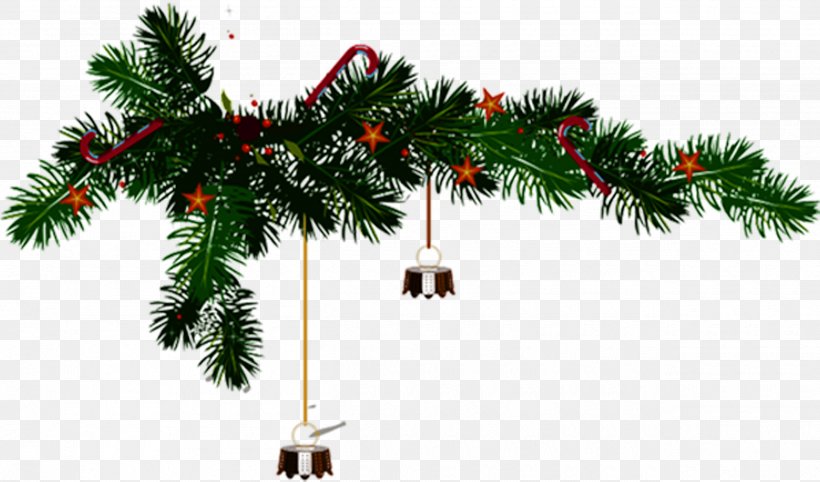 Christmas Tree Pine, PNG, 2530x1489px, Christmas Tree, Branch, Christmas, Christmas Card, Christmas Decoration Download Free