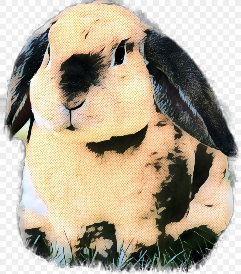 Domestic Rabbit Stuffed Animals & Cuddly Toys Snout, PNG, 839x953px, Domestic Rabbit, Ear, Rabbit, Rabbits And Hares, Snout Download Free