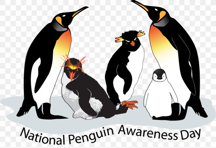 King Penguin Clip Art, PNG, 825x567px, King Penguin, African Penguin, Animal, Art, Beak Download Free