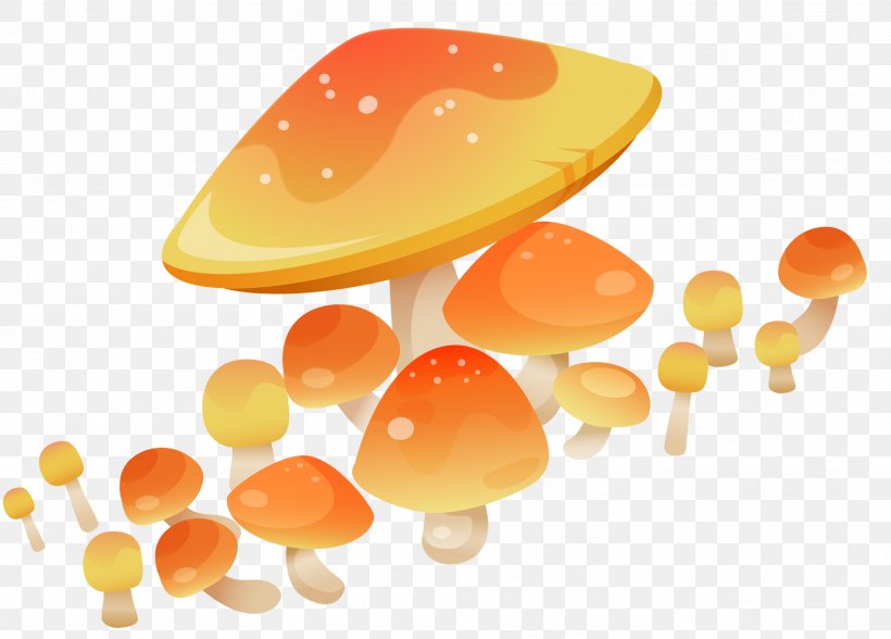 Mushroom Fungus Clip Art, PNG, 2464x1768px, Mushroom, Agaricus, Drawing, Edible Mushroom, Food Download Free