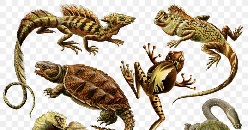 Prehistoric Reptile Dinosaur Brachiosaurus Animal, PNG, 1200x630px, Reptile, Amphibian, Animal, Art, Brachiosaurus Download Free