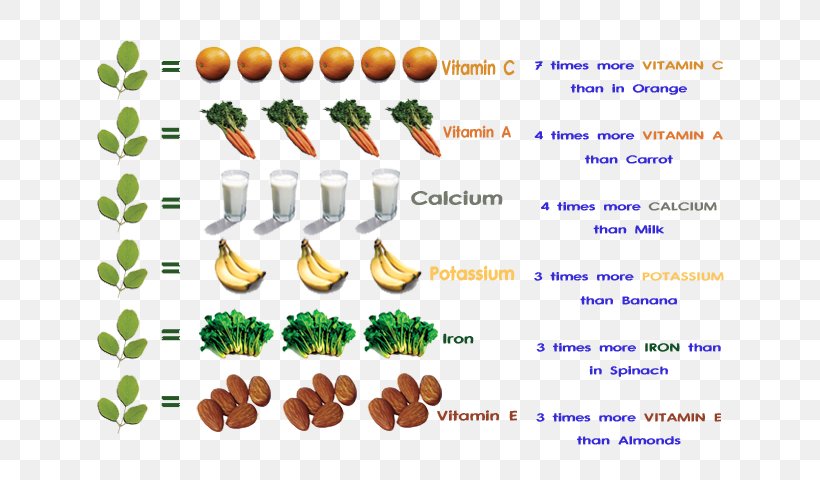 Nutrient Drumstick Tree Nutrition Facts Label Vitamin, PNG, 640x480px, Nutrient, Diet, Drumstick Tree, Essential Fatty Acid, Food Download Free