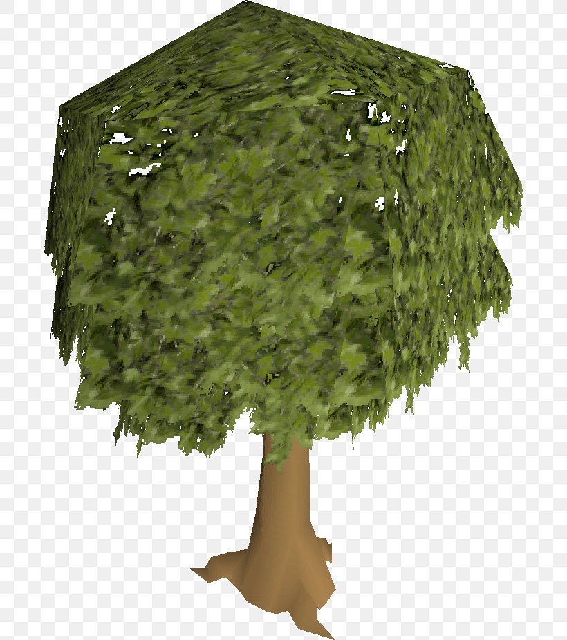 Old School RuneScape Tree Oak Woody Plant, PNG, 694x926px, Runescape, Acorn, Container Garden, Eastern Hemlock, English Yew Download Free