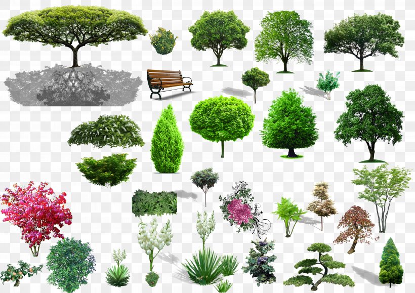 Tree Shrub Landscape, PNG, 5940x4200px, Tree, Architecture, Ecosystem, Evergreen, Flower Download Free