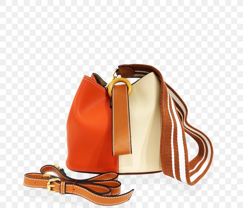 Handbag Leather Skin Belt, PNG, 700x700px, Handbag, Backpack, Bag, Belt, Black Download Free