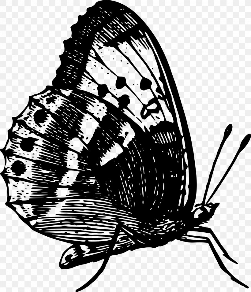 Monarch Butterfly Insect Brush-footed Butterflies, PNG, 2057x2397px, Monarch Butterfly, Arthropod, Black And White, Brush Footed Butterfly, Brushfooted Butterflies Download Free