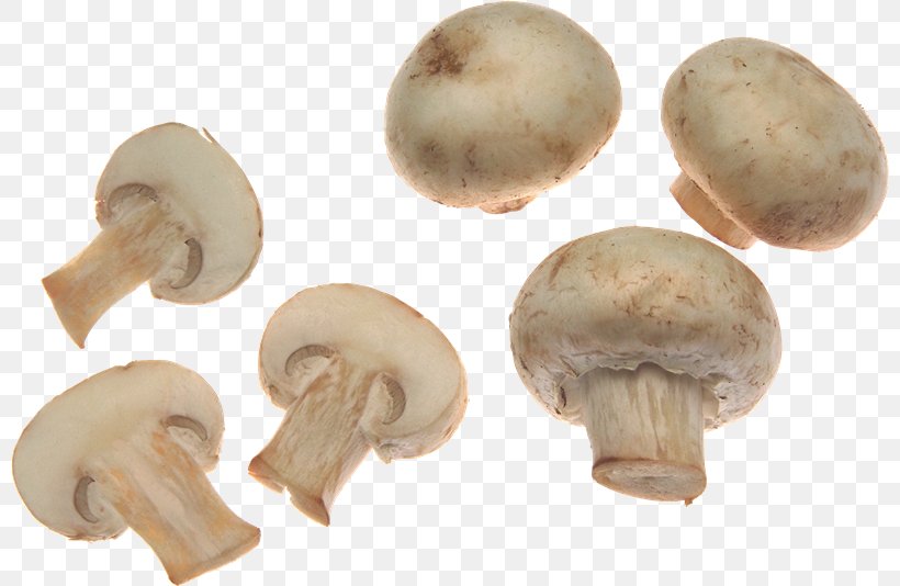 Edible Mushroom Common Mushroom, PNG, 800x534px, Mushroom, Agaricaceae, Agaricomycetes, Agaricus, Champignon Mushroom Download Free